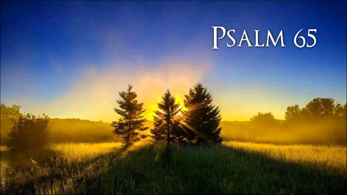 Psalm 65 Message